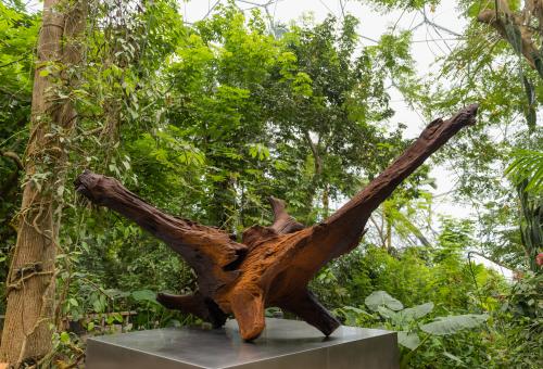 Giant rusting cast iron sculpture of a root in the Rainforest Biome at the Eden Project